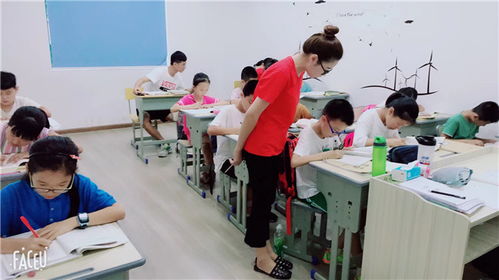 金華八年級語文1對多培訓 起點教育助力文化素養提升與交流